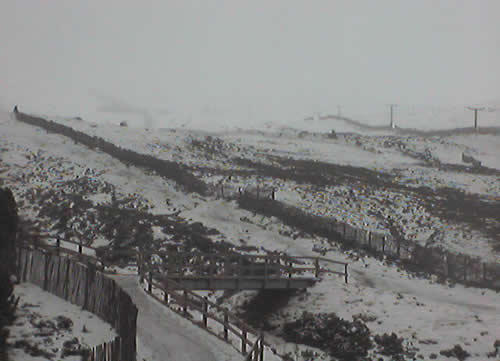 Improved Scottish conditions