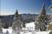 Ski Resort Pamporovo in Bulgaria