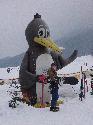 Ski Resort SkiWelt Ellmau/ SkiWelt Scheffau in Austria