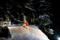 Alpspitz gets new wooden park for 2010/1