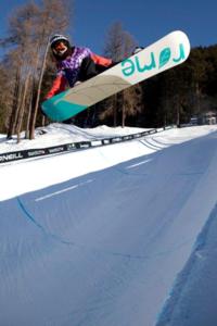 Evolution 2011 underway at Davos