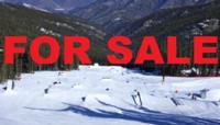 Buy a ski resort!