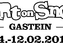 Gastein Art On Snow Exhibition A Success