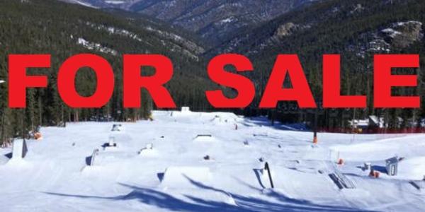 Buy a ski resort!