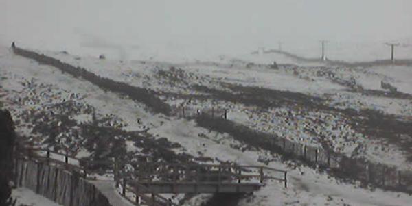 Improved Scottish conditions