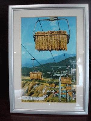 Rice Lift
