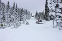 WHISTLER MOUNTAIN OPENS WITH FIVE LIFTS Nov 11