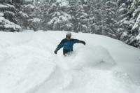 Aspen deep in it