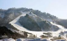Ski Resort Alps Resort in South Korea