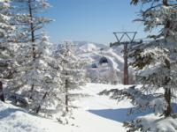 Ski Resort Shiga Kogen in Japan