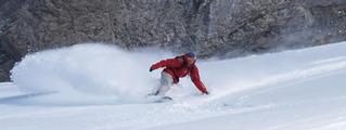 Sunshine fully open