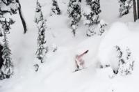 Record breaking snow at Whistler