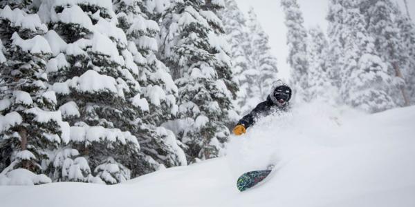 Colorado getting puked on