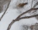 Ski Resort Sapporo Kokusai in Japan