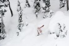 Record breaking snow at Whistler
