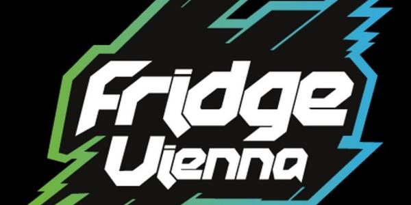 Fridge Festival Vienna Draws in the crowds!