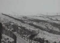 Improved Scottish conditions