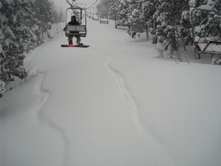 /upload/images/all/TTMJGFEX.jpg