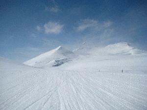 laax1