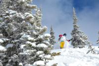 Ski Resort Whistler/Blackcomb in Canada