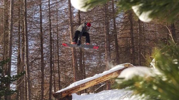 The Forest Snowboarder