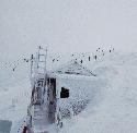 Summit pomo, Nevis range