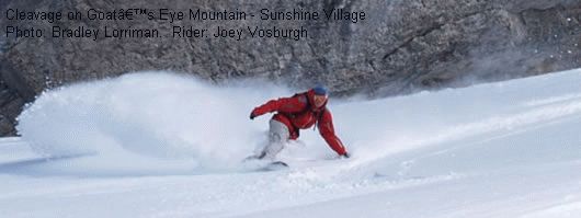 Sunshine fully open