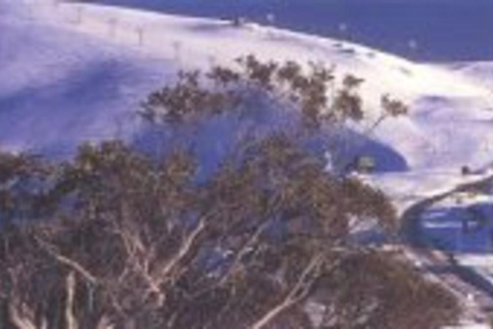 Mount Hotham