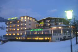 Niedrau Hotel Harfenwert