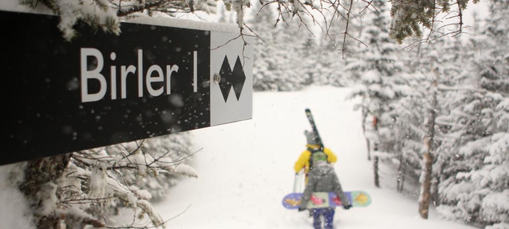 Sugarloaf mountain, Birler area