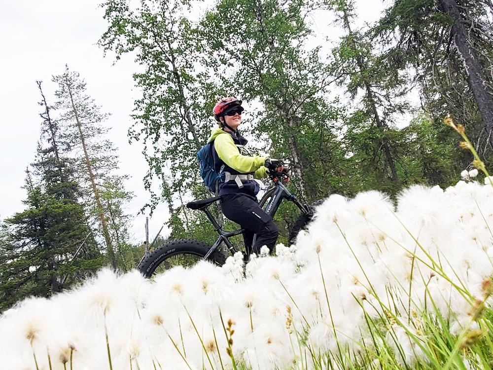e_bike_cotton2.jpg