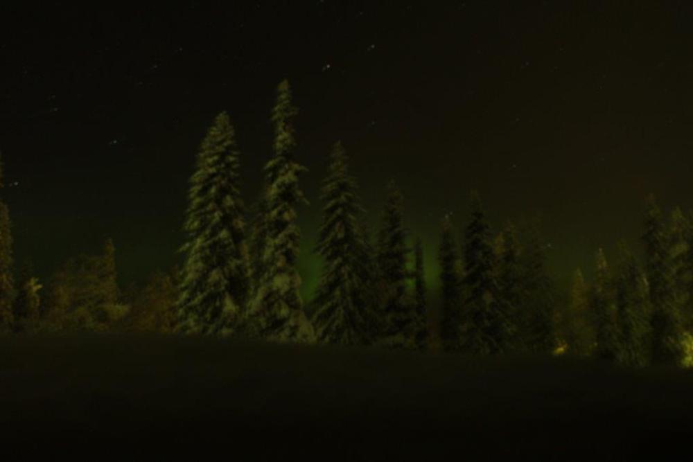 Aurora Hut