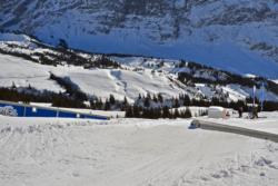 Grindelwald park 1