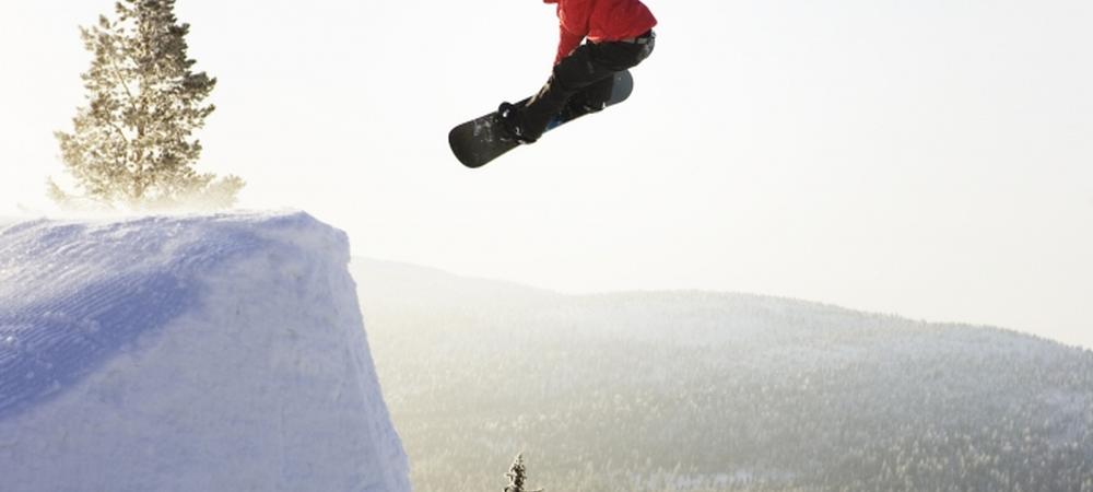 Levi VIsta