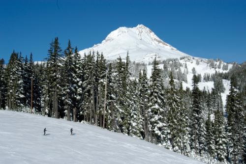Mt Hood Meadows