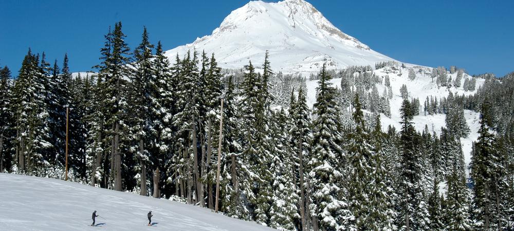 Mt Hood Meadows