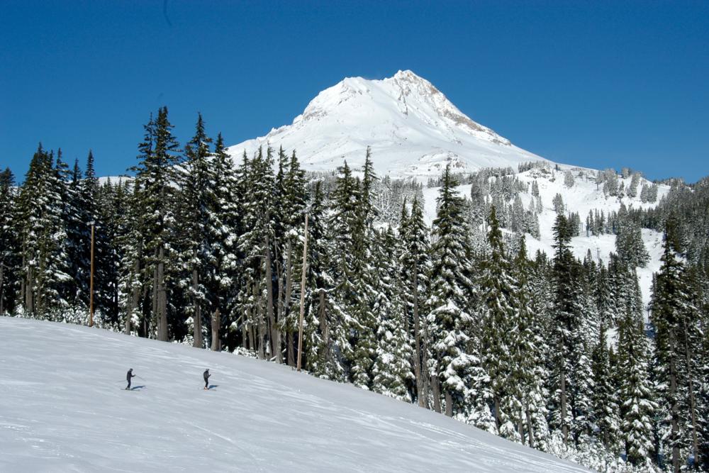 Mt Hood Meadows