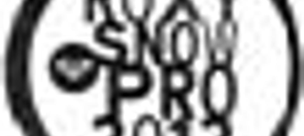 Roxy Snow Pro 2012