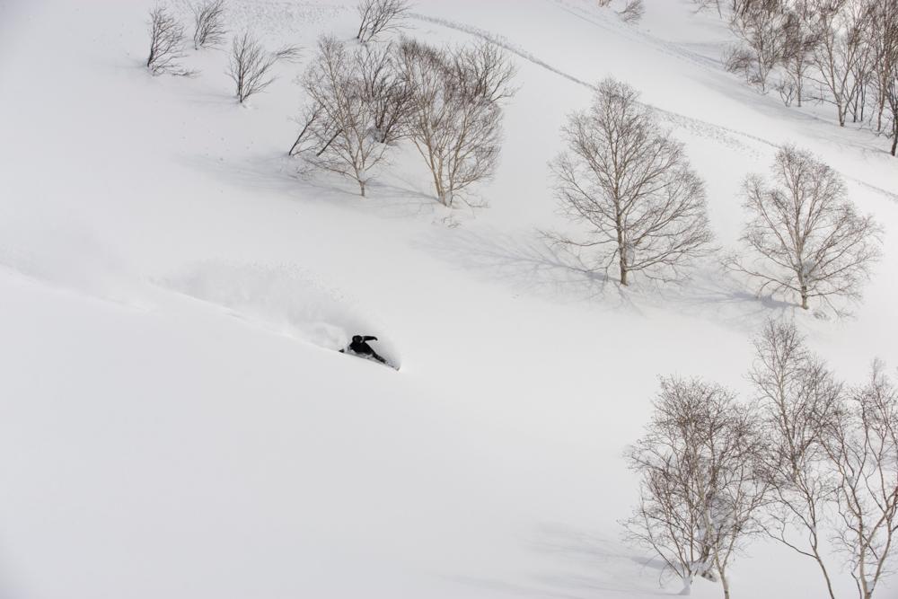 Niseko freeriding