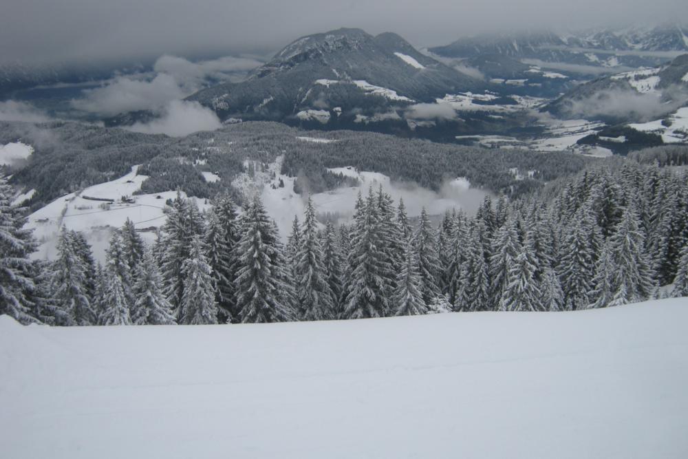 Niedrau Vista