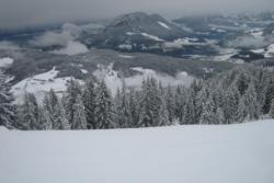 Niedrau Vista