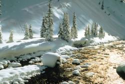 Lech-Fluss-Flusslandschaft-Vorarlberg