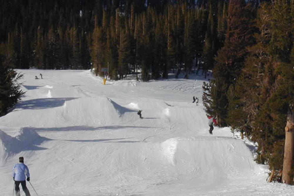 Forest Terrain Park, Mammoth