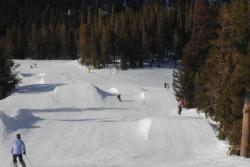 Forest Terrain Park, Mammoth