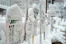  Gala Yuzawa bus signs