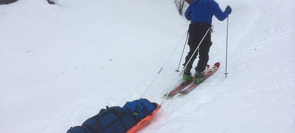 Ski Womble