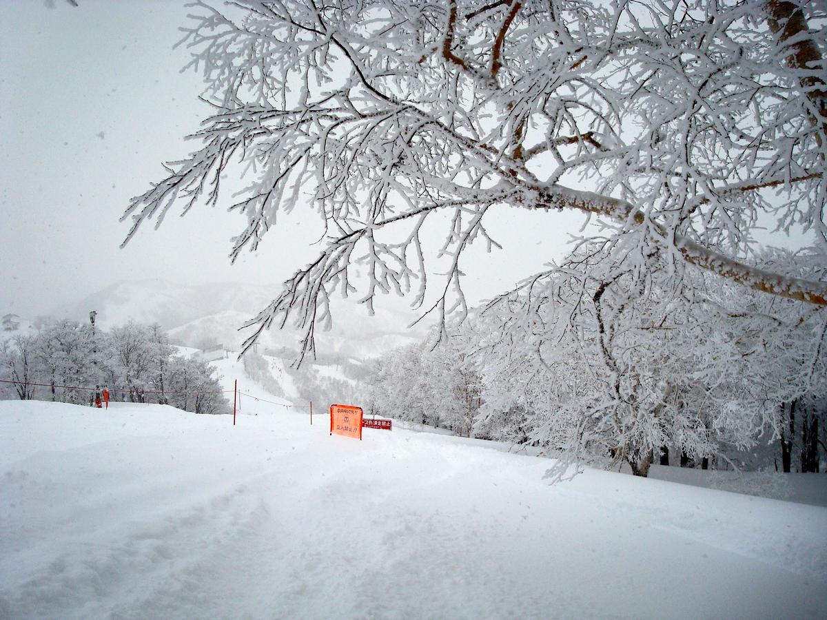 Gala Yuzawa out of bounds
