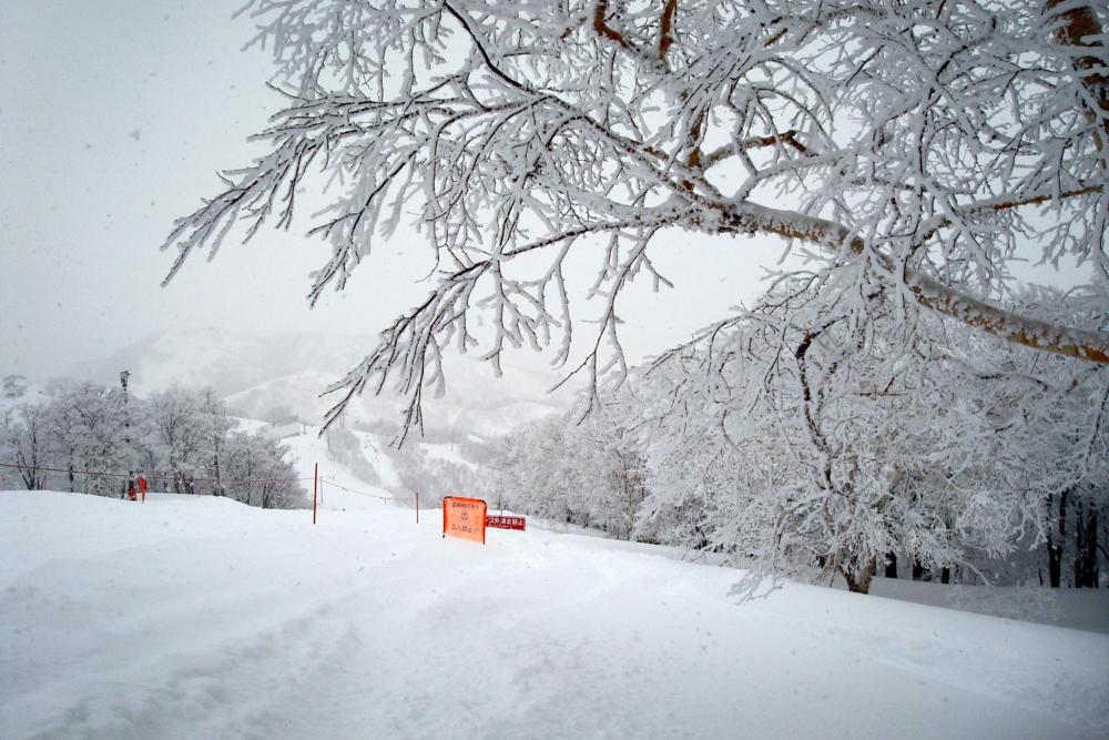Gala Yuzawa out of bounds