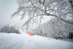 Gala Yuzawa out of bounds
