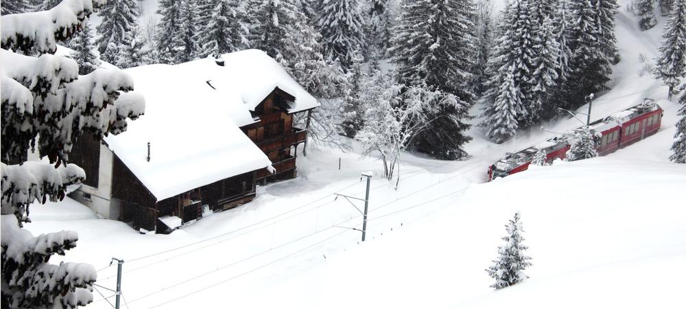 Arosa Choo Choo